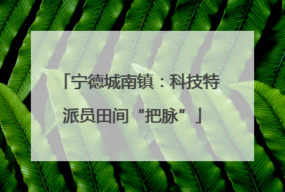 宁德城南镇：科技特派员田间“把脉”