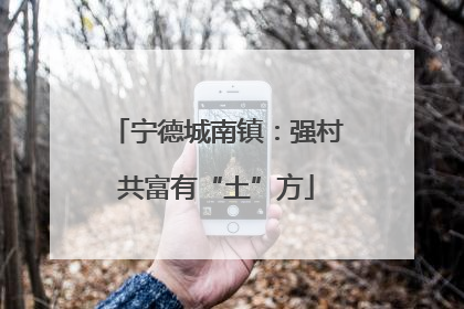 宁德城南镇：强村共富有“土”方
