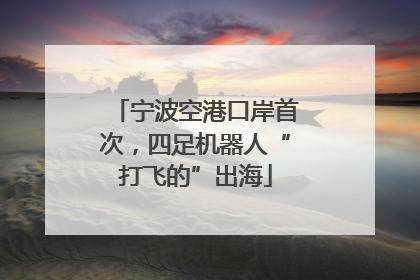 宁波空港口岸首次，四足机器人“打飞的”出海