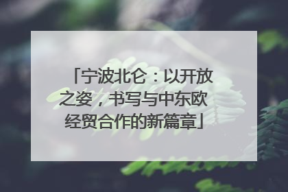 宁波北仑：以开放之姿，书写与中东欧经贸合作的新篇章