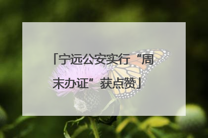 宁远公安实行“周末办证”获点赞