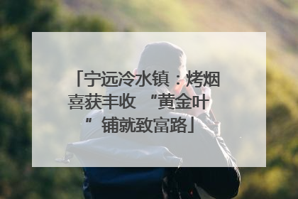 宁远冷水镇：烤烟喜获丰收 “黄金叶”铺就致富路