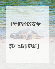 守护经济安全 筑牢城市更新