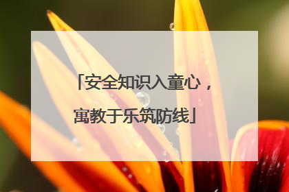 安全知识入童心，寓教于乐筑防线