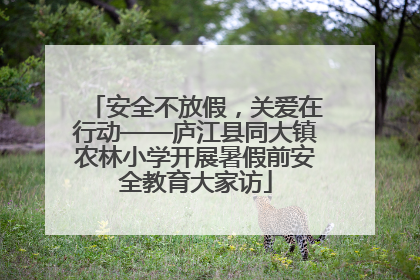 安全不放假，关爱在行动——庐江县同大镇农林小学开展暑假前安全教育大家访