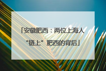 安徽肥西：两位上海人“链上”肥西的背后
