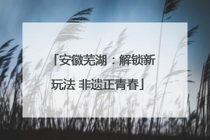 安徽芜湖：解锁新玩法 非遗正青春