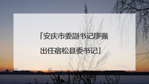 安庆市委副书记廖强出任宿松县委书记
