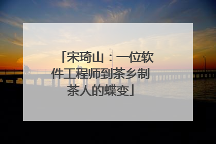 宋琦山：一位软件工程师到茶乡制茶人的蝶变