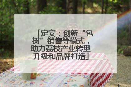 定安：创新“包树”销售等模式，助力荔枝产业转型升级和品牌打造