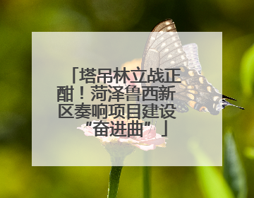 塔吊林立战正酣！菏泽鲁西新区奏响项目建设“奋进曲”