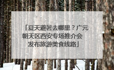 夏天避暑去哪里？广元朝天区西安专场推介会 发布旅游美食线路