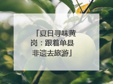 夏日寻味黄岗：跟着单县非遗去旅游