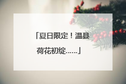 夏日限定！温县荷花初绽……