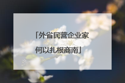 外省民营企业家何以扎根商南