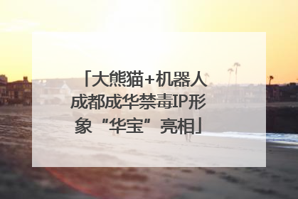 大熊猫+机器人 成都成华禁毒IP形象“华宝”亮相