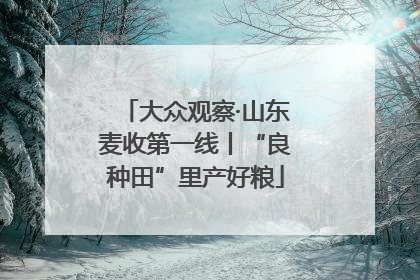 大众观察·山东麦收第一线丨“良种田”里产好粮