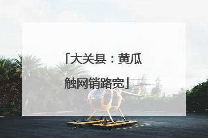 大关县：黄瓜触网销路宽