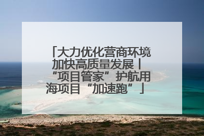 大力优化营商环境 加快高质量发展丨“项目管家”护航用海项目“加速跑”