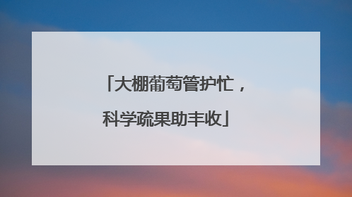 大棚葡萄管护忙，科学疏果助丰收