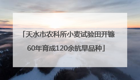 天水市农科所小麦试验田开镰 60年育成120余抗旱品种