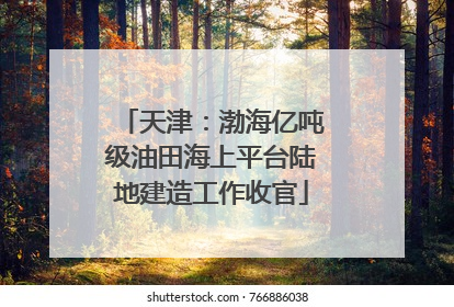 天津：渤海亿吨级油田海上平台陆地建造工作收官