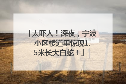 太吓人！深夜，宁波一小区楼道里惊现1.5米长大白蛇！