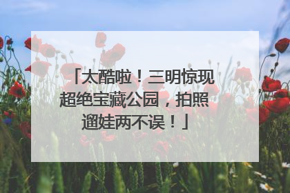 太酷啦！三明惊现超绝宝藏公园，拍照遛娃两不误！