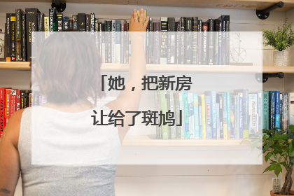 她，把新房让给了斑鸠