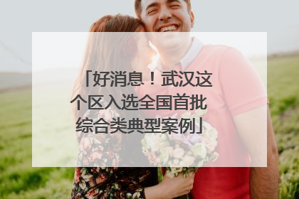 好消息！武汉这个区入选全国首批综合类典型案例