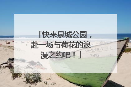 快来泉城公园，赴一场与荷花的浪漫之约吧！
