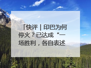 快评｜印巴为何停火？已达成“一场胜利，各自表述”的效果