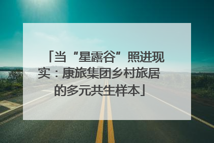 当“星露谷”照进现实：康旅集团乡村旅居的多元共生样本