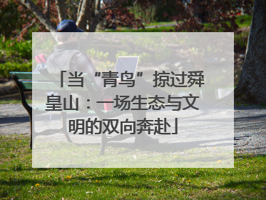 当“青鸟”掠过舜皇山：一场生态与文明的双向奔赴