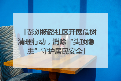 彭刘杨路社区开展危树清理行动，消除“头顶隐患”守护居民安全