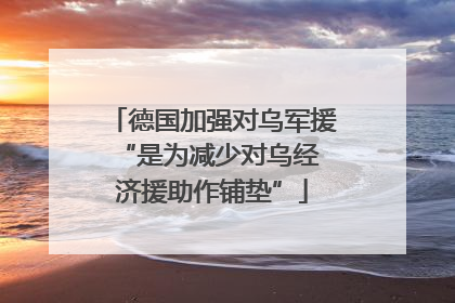 德国加强对乌军援 “是为减少对乌经济援助作铺垫”