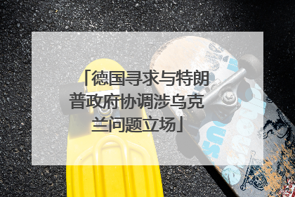 德国寻求与特朗普政府协调涉乌克兰问题立场