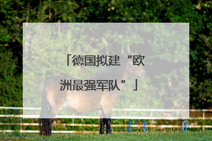 德国拟建“欧洲最强军队”