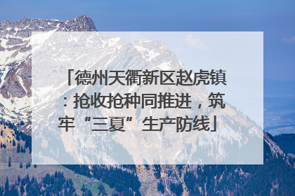 德州天衢新区赵虎镇：抢收抢种同推进，筑牢“三夏”生产防线