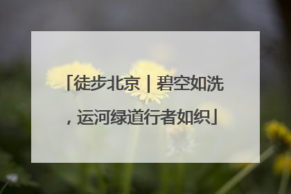 徒步北京｜碧空如洗，运河绿道行者如织