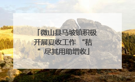 微山县马坡镇积极开展夏收工作 “秸”尽其用助增收