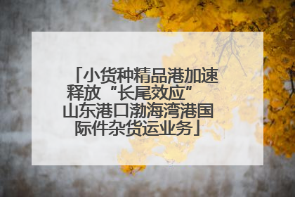 小货种精品港加速释放“长尾效应” 山东港口渤海湾港国际件杂货运业务