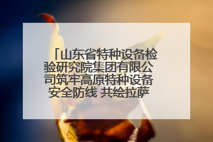 山东省特种设备检验研究院集团有限公司筑牢高原特种设备安全防线 共绘拉萨美好生活画卷