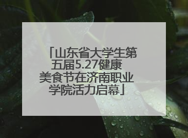 山东省大学生第五届5.27健康美食节在济南职业学院活力启幕
