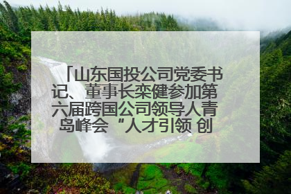 山东国投公司党委书记、董事长栾健参加第六届跨国公司领导人青岛峰会“人才引领 创新驱动”人力资源高质量发展对话会