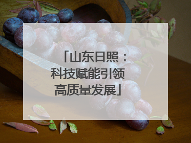 山东日照：科技赋能引领高质量发展