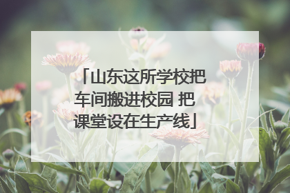 山东这所学校把车间搬进校园 把课堂设在生产线