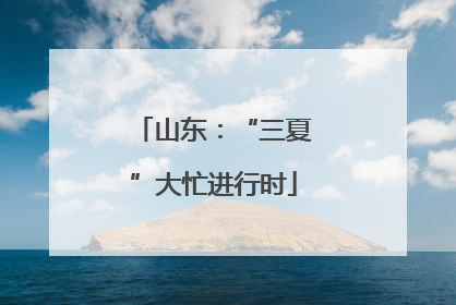 山东：“三夏”大忙进行时