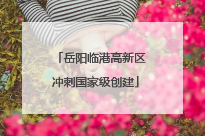 岳阳临港高新区冲刺国家级创建