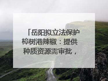 岳阳拟立法保护樟树港辣椒：提供种质资源需审批，违规最高罚5万